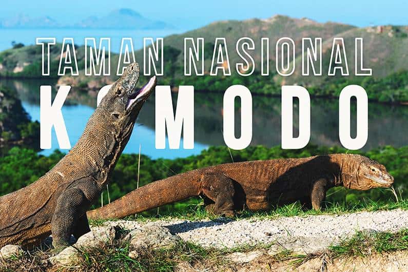 Taman-Nasional-Pulau-Komodo-2