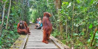 Wisata Paling Banyak Dicari September 2025